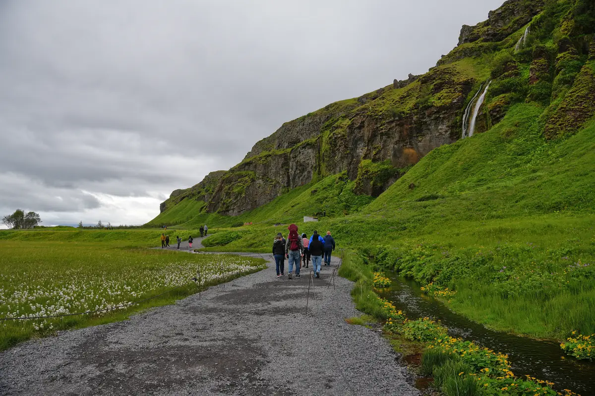 Trail to Gljúfrabúi (Hidden Waterfall)