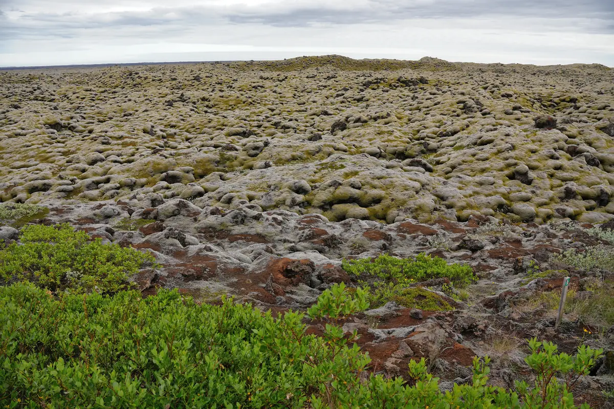 Gönguleið um Eldhraun (Lava Field)