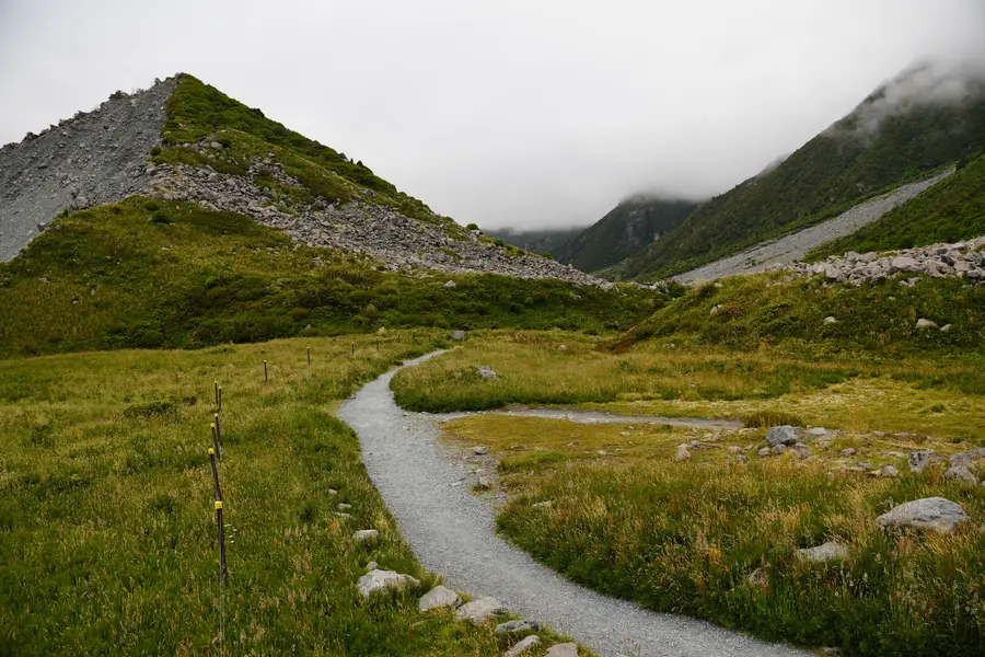 Kea Point Track
