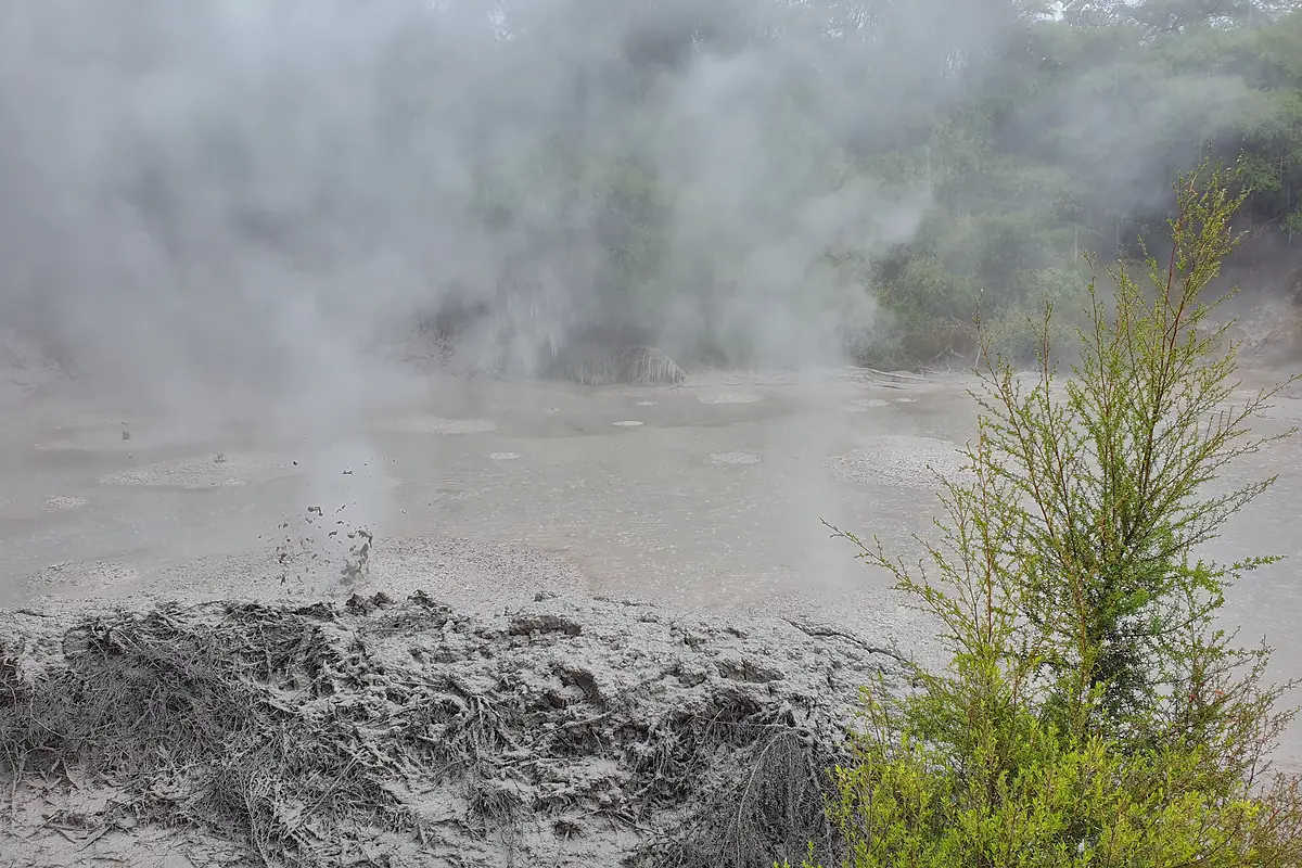 Kuirau Park Mud Pools